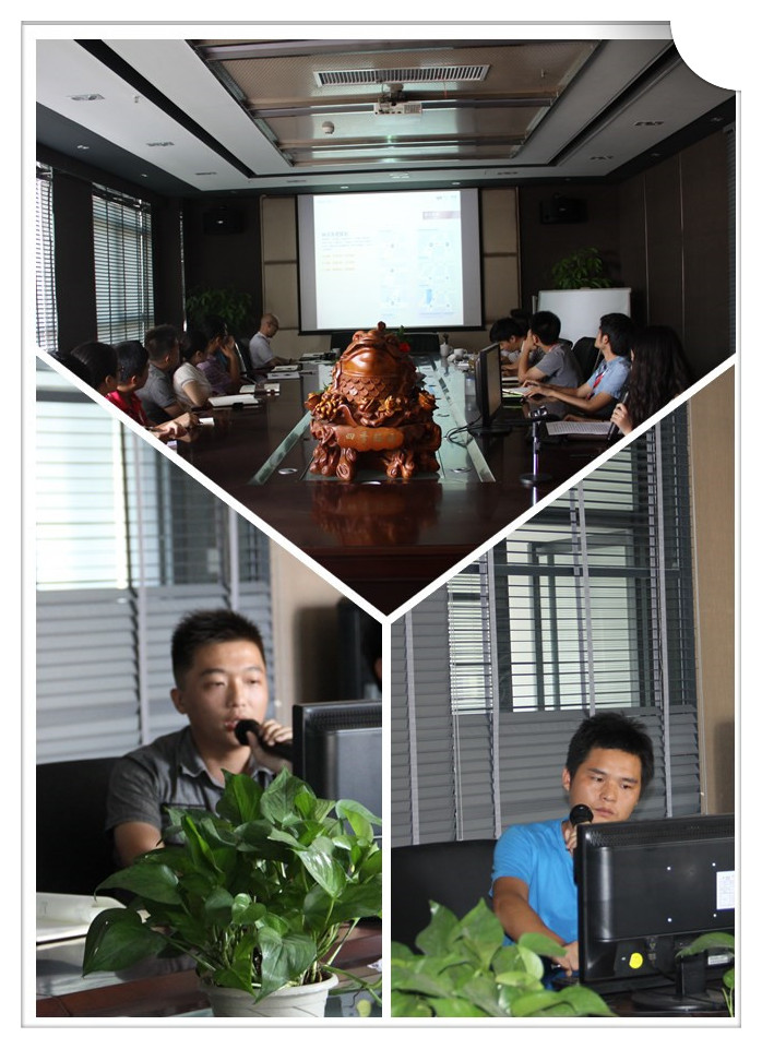 设计师正在汇报方案