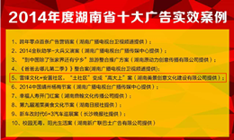 湖南美景创意“和馨园”社区文化建设项目荣获2014年湖南省十大广告实效案例之一