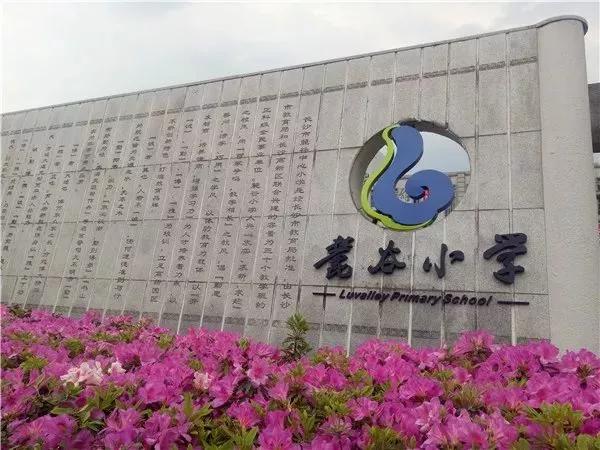 诚勤博雅，兴校立人——记长沙市麓谷小学文化建设项目