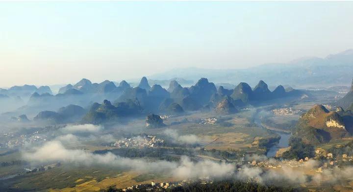 美丽乡村 特色农业 ——记广西罗城万亩油茶示范基地项目赏析
